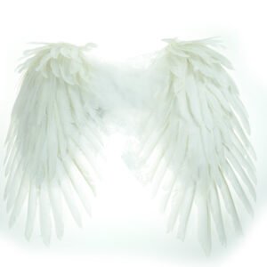 fairy wings poizen white 1.jpg