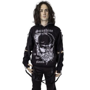 import placeholder for h sunshine b